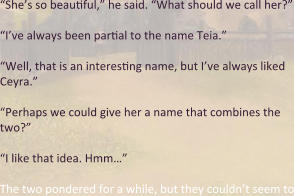 “She’s so beautiful,” he said. “What should we call her?” “I’ve always been partial to the name Teia.” “Well, that is an interesting name, but I’ve always liked Ceyra.”  “Perhaps we could give her a name that combines the two?”  “I like that idea. Hmm…”  The two pondered for a while, but they couldn’t seem to
